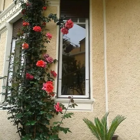 Fiorenza & Banksia Meuble מלון אלסיו