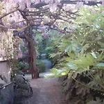 호텔 Fiorenza & Banksia Meuble 2*
