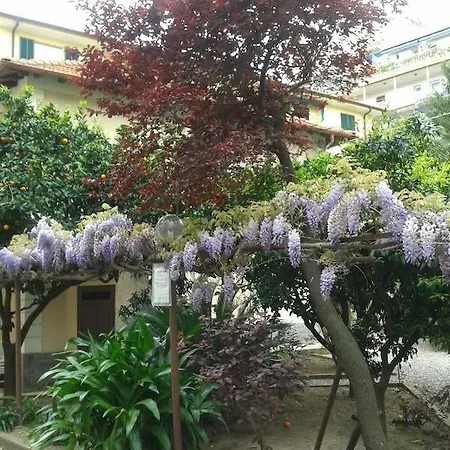 Fiorenza&banksia Meublè 2* Alassio