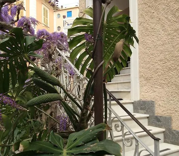 Fiorenza & Banksia Meuble 2* Алассио