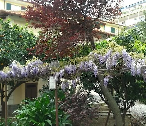 Fiorenza & Banksia Meuble 2* Алассио